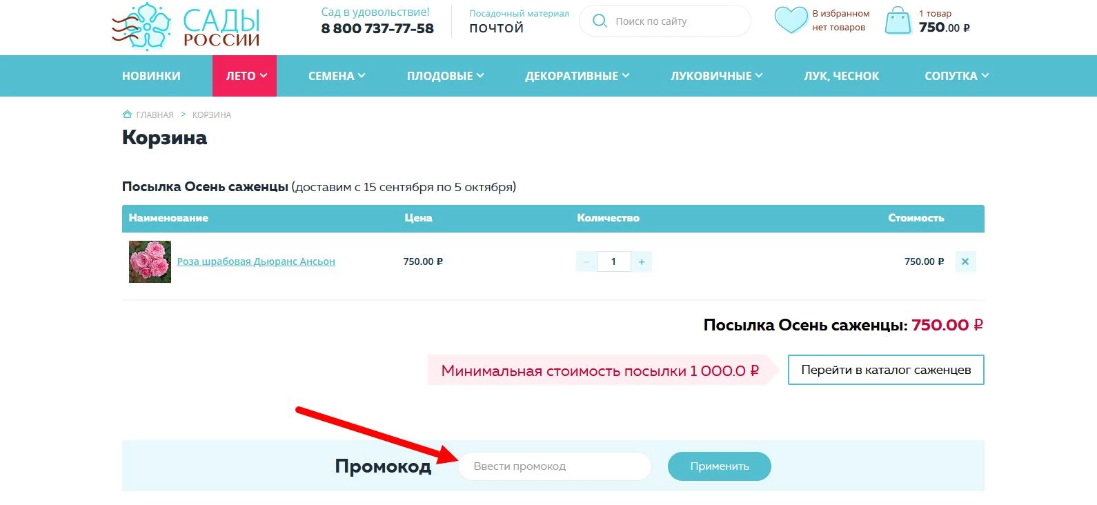 Сады России